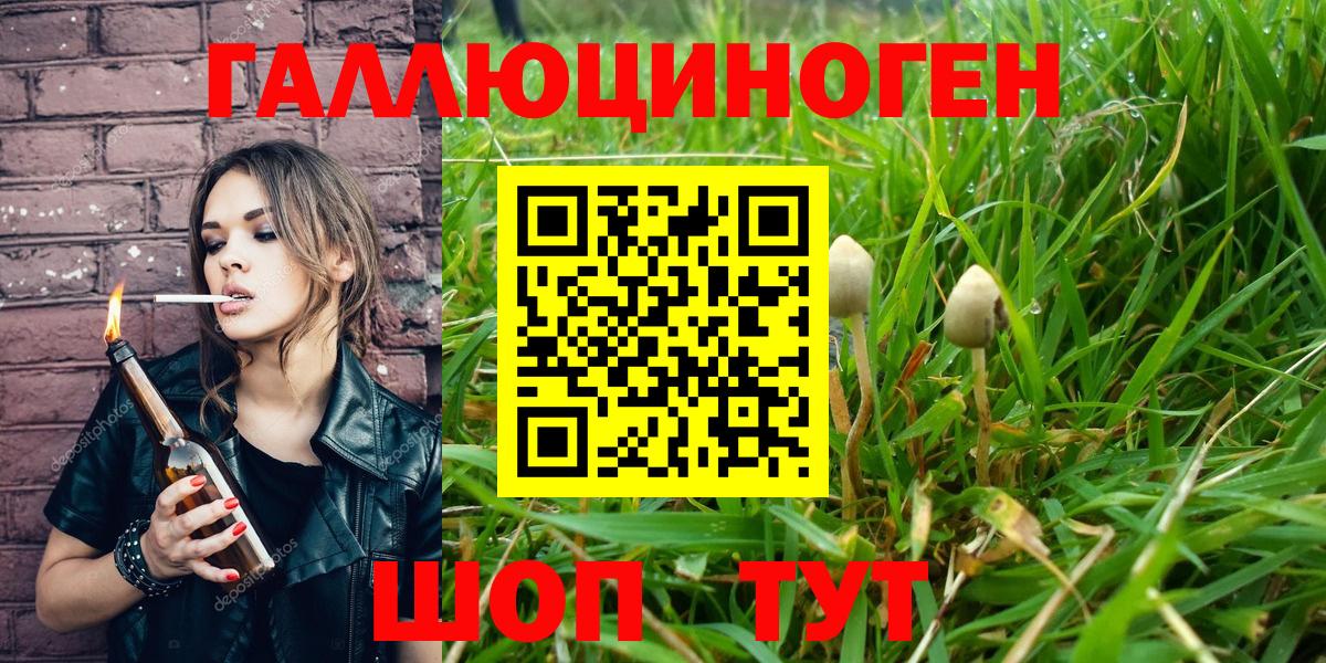 Галлюциногенные грибы GOLDEN TEACHER  Вход с VPN  Чехов 