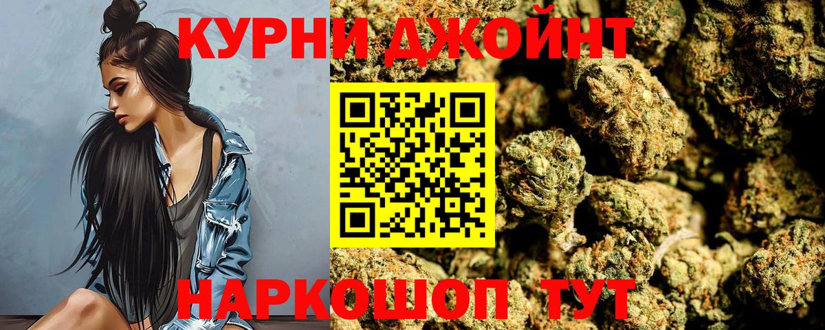 Марихуана семена  Канабис гибрид  Вход с VPN  Каннабис OG Kush  Чехов 